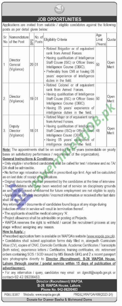 Wapda Management Vacancies Job 2024